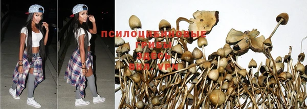 кристаллы Арсеньев