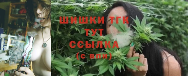 молекула духа Аркадак